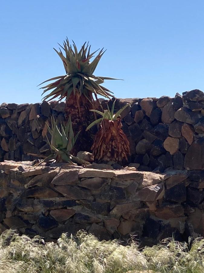 3 Aloes Guesthouse Uis Extérieur photo