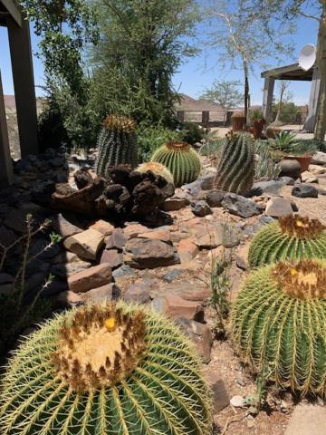 3 Aloes Guesthouse Uis Extérieur photo
